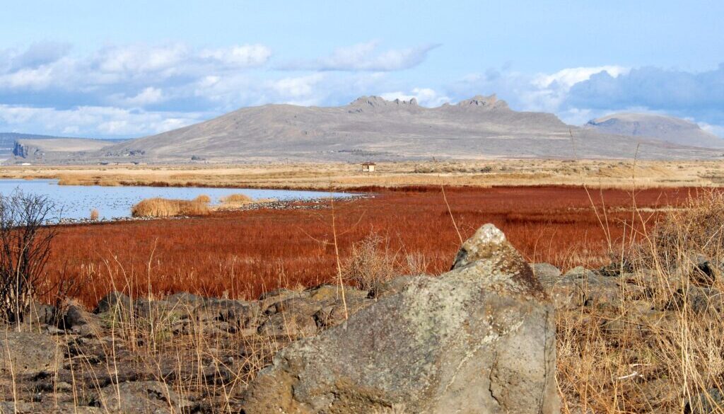 usfws-tule-lake-refuge-peninsula-sump-1b-1jpg