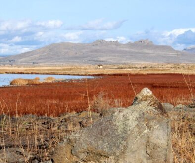 usfws-tule-lake-refuge-peninsula-sump-1b-1jpg