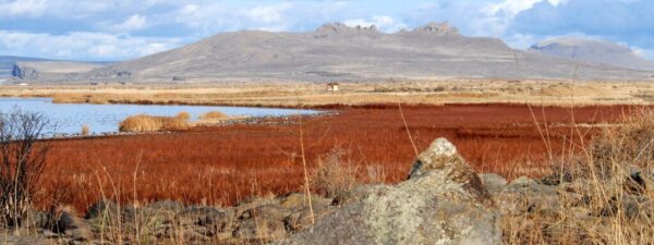 usfws-tule-lake-refuge-peninsula-sump-1b-1jpg