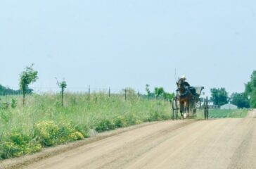 amish buggy