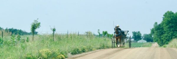 amish buggy