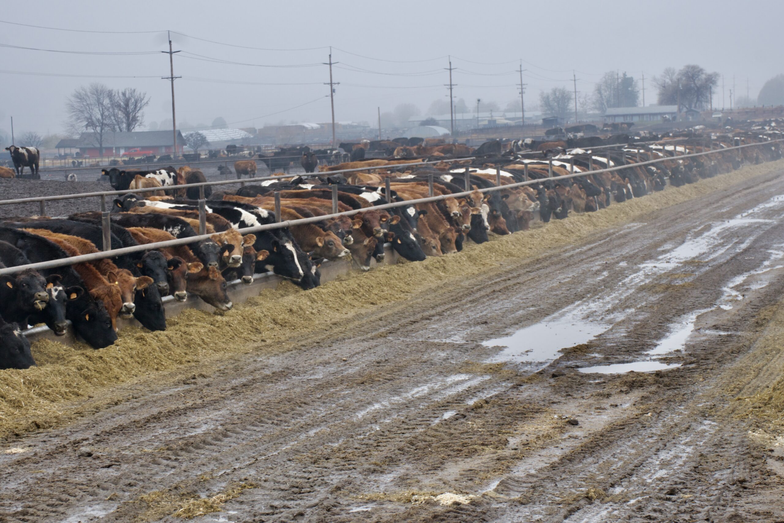 Regulators battle Oregon and Washington farmers over limits to farm pollution